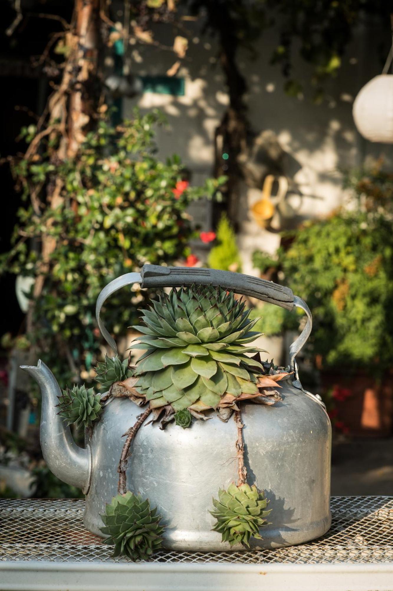 Agriturismo Beatilla 마르미롤로 외부 사진