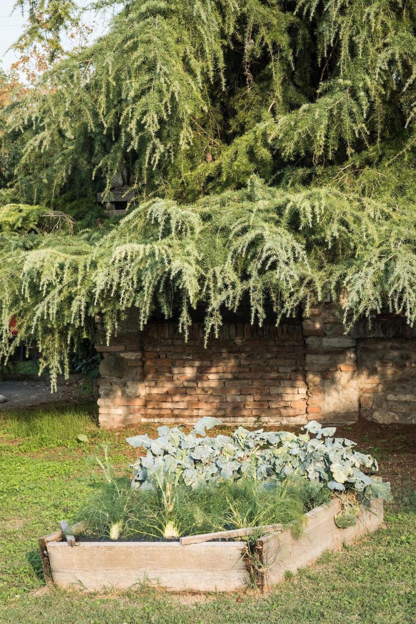 Agriturismo Beatilla 마르미롤로 외부 사진